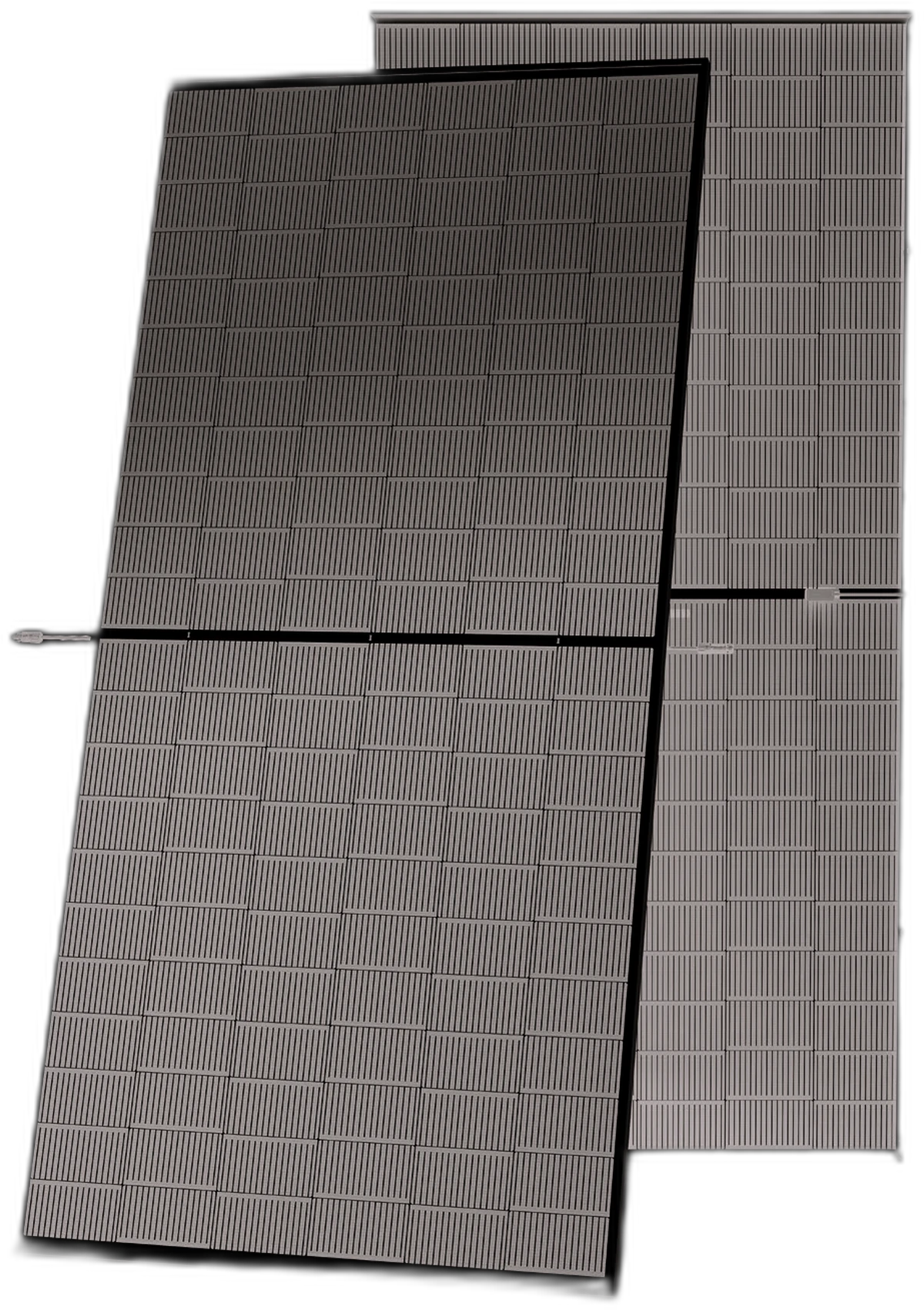 VERTEX N NEG19RC.20